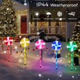 thumbnail image 2 of Juego de 5 piruletas solares para caminos navideños ILLUMINEW, 2 of 7