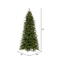 thumbnail image 3 of Vickerman 10' x 54" Douglas Fir Artificial Slim Pre-Lit Christmas Tree, Warm White LED Mini Lights., 3 of 5