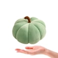 thumbnail image 4 of Darzheoy Pumpkin Throw Pillows, Halloween Fall Decorative Pumpkin Shaped Pillow Cute 3D Shaped Cushion, Pumpkins Plush Toys Pumpkins Throw Pillows (Mint Green, 7"), 4 of 9