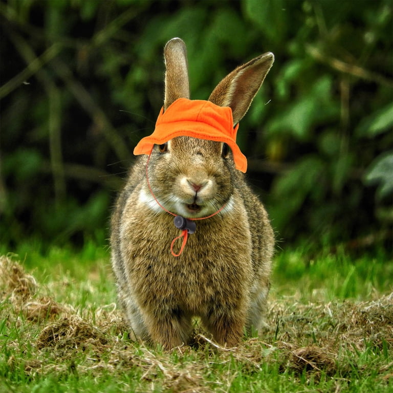 Soimiss Small Animals Hat Bunny Hat Rabbit Hat With Adjustable