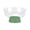 Green, variant on Fruit Platter - Serving Platter | Snack Dishes, Party Food Trays with Drainage, for Home Kitchen Living Room Office
