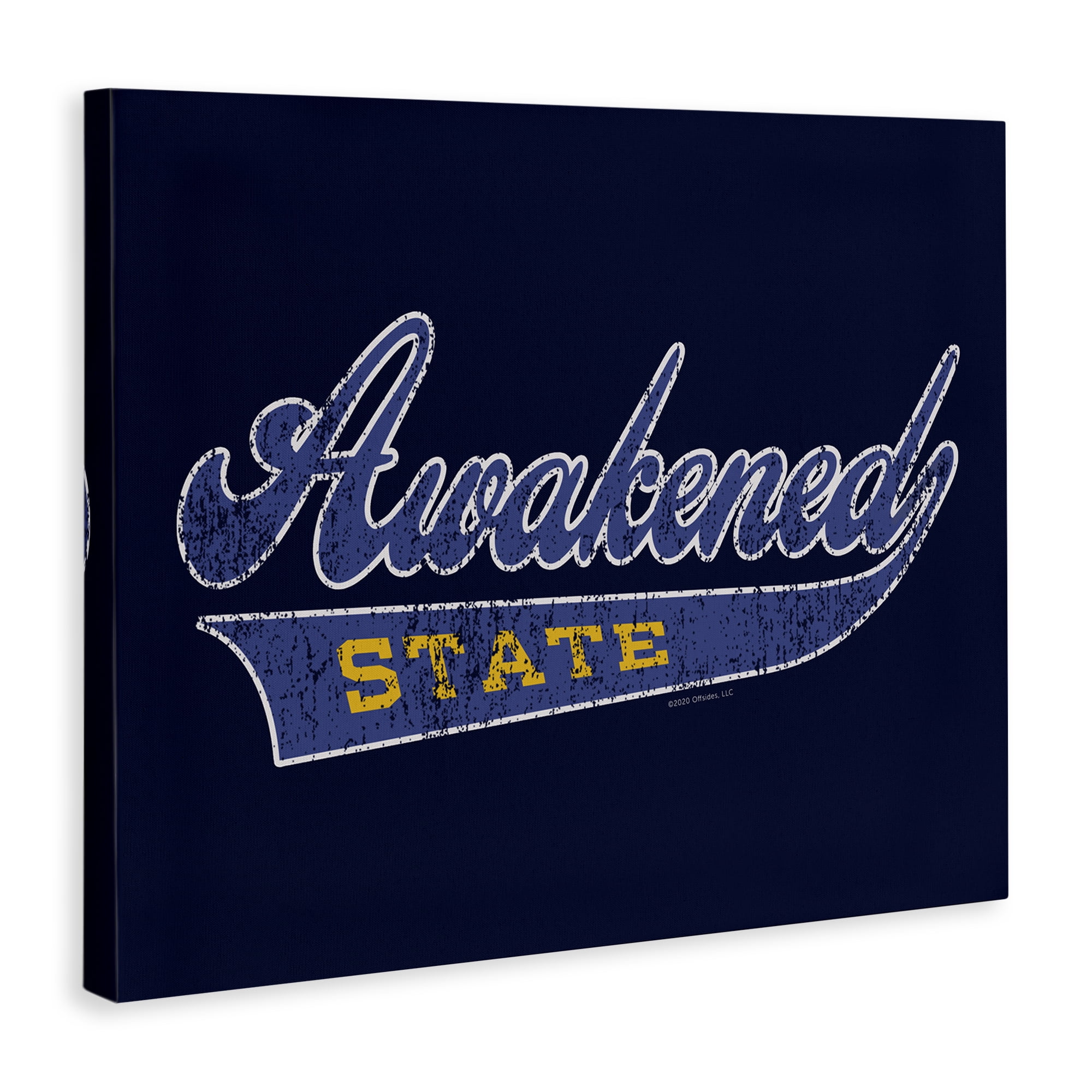 Stupell Industries Awakened State Varsity Novelty & Humor Painting Wrapped Canvas Art Print Wall Art, 48 x 36