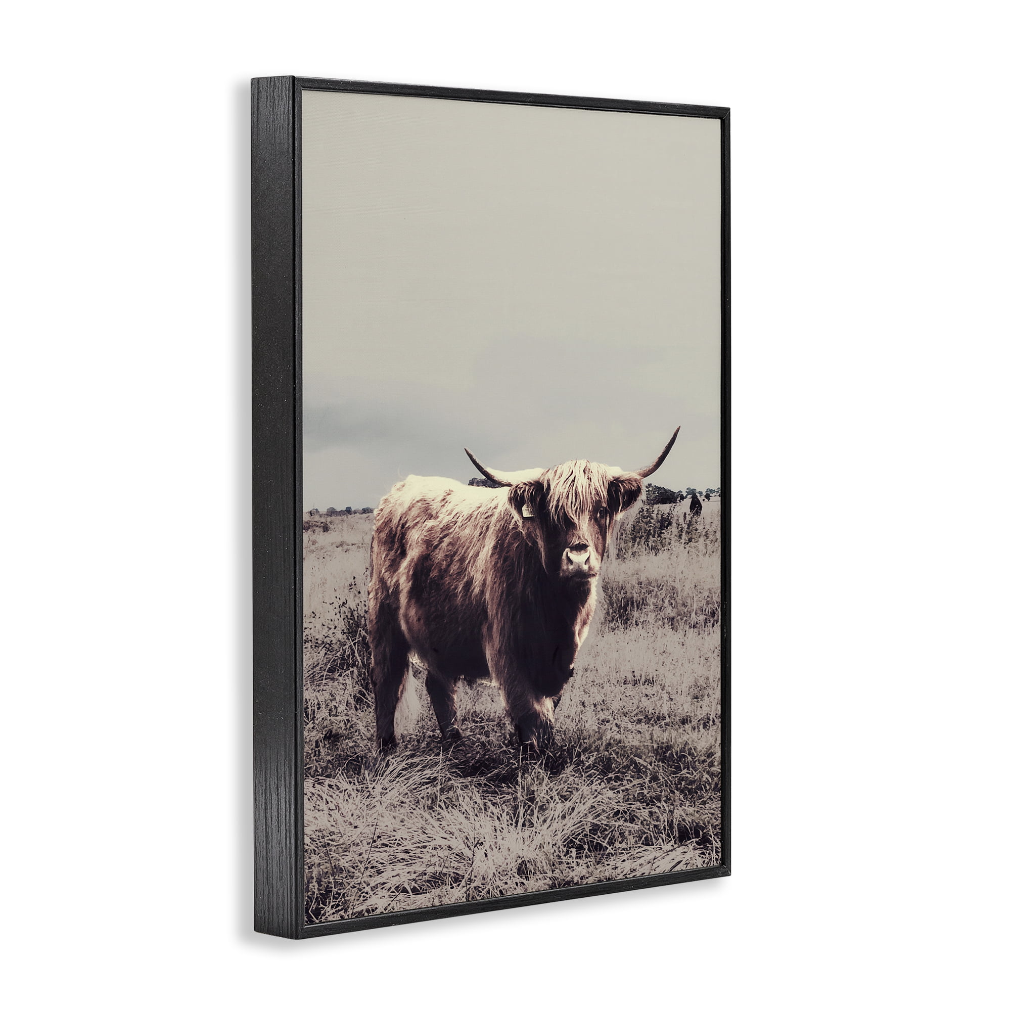 Stupell Industries Horned Cattle in Pasture Black Framed Giclee Art, design by SD Graphics Studio