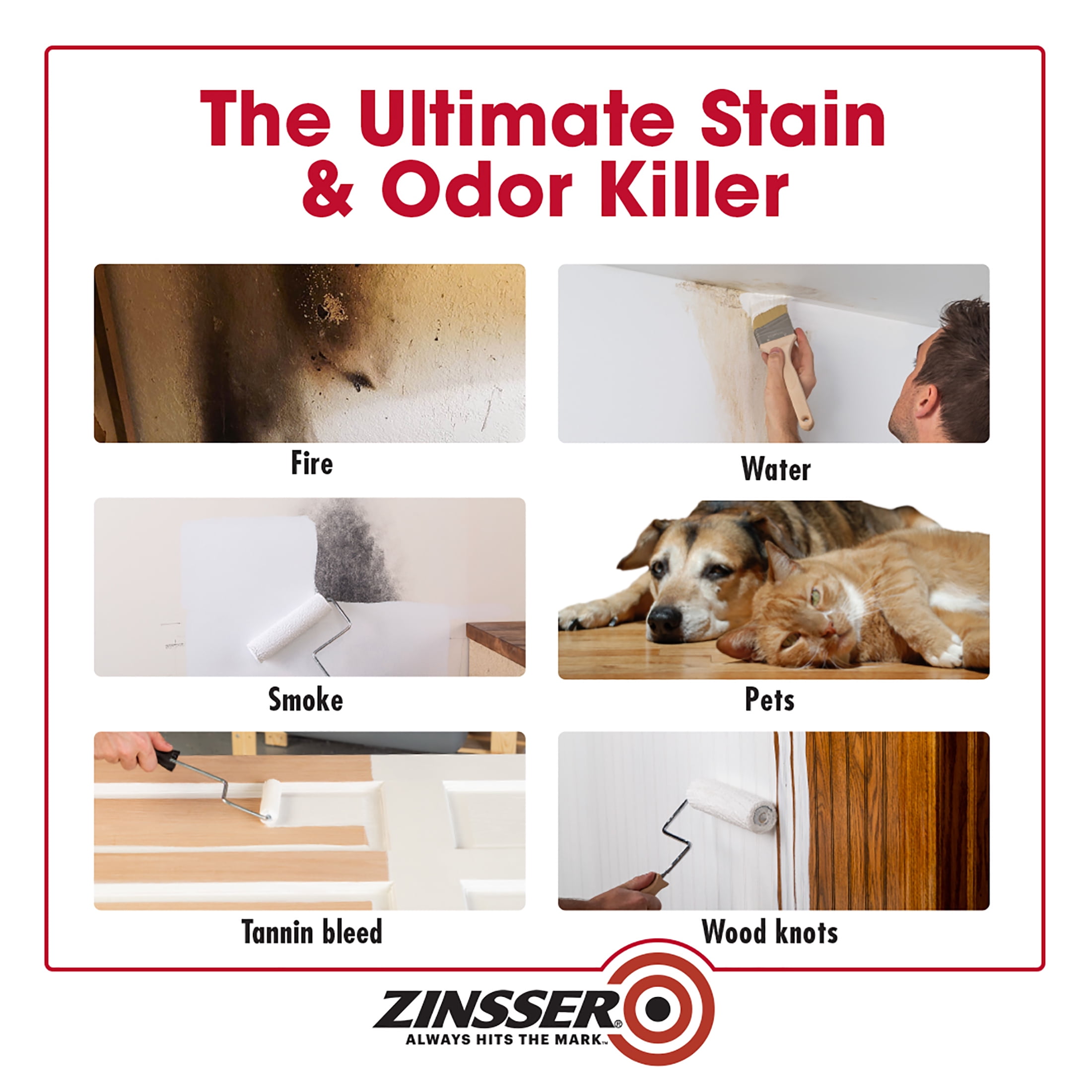 6 Pack, White, Zinsser Flat BIN Shellac Primer- Quart