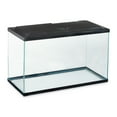 Aqua Culture 10Gallon Glass Aquarium Starter Kit