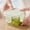 Green, variant on 2Pc Clearance Under $3 Airtight Storage Containers Food Container Plastic For Kitchen Store Food Mini Clear