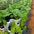 thumbnail image 2 of Zeus Plastic Stackable Vertical Flower Plant Pot Seedling Holder Garden Planter Decor, 2 of 6