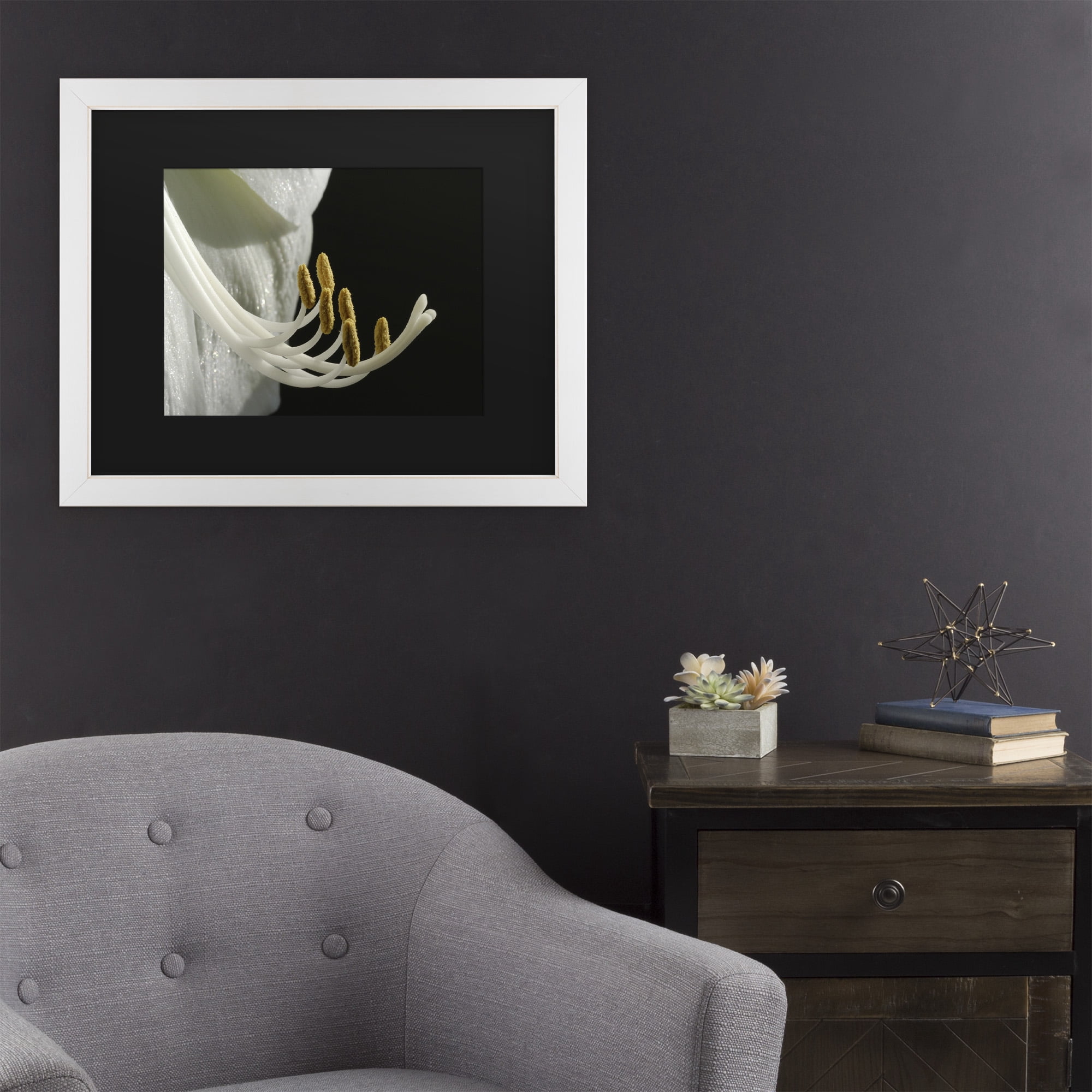Trademark Fine Art 'Intimate Amaryllis' Canvas Art by Kurt Shaffer