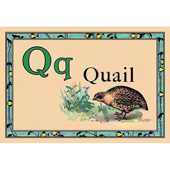 Quail-Fine Art Canvas Print (20" x 30")