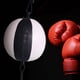 thumbnail image 5 of Pelota de velocidad DYNWAVEMX equipo de entrenamiento boxeo Blanco negro, 5 of 8