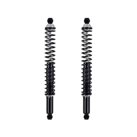 Rear Shock Absorber and Coil Spring Assembly - Compatible with 2004 - 2014 Ford F-150 2005 2006 2007 2008 2009 2010 2011 2012 2013