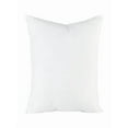 thumbnail image 2 of WNFJR 17.71” x 17.71” P P Cotton Decorative Pillow Inserts, Soft and Supportive, 2 of 7