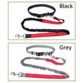 thumbnail image 4 of Make Walks with Your Dog Easier with This Elastic Nylon Dog Leash!, 4 of 5
