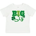 thumbnail image 3 of Inktastic Big Sis Irish St Patricks Sister Girls Baby T-Shirt, 3 of 5