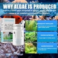 thumbnail image 2 of Wdftyju 50g Acuario Herramienta Algaecide Agente repelente de algas Tanque de peces Estanque Polvo de limpieza Wdftyju 6jp5wl4ba3en7hz4, 2 of 9