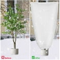 thumbnail image 4 of unbranded Cobertor Para Plantas Exteriores Con Tela Transpirable Y Protección Frío, 4 of 8