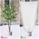 thumbnail image 4 of unbranded Para Plantas De Tela No Tejida Protección Heladas Y Lluvia Con Cordón Ajustable, 4 of 7