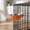 Orange, variant on Stainless Steel Hanging Pet Bowl for Dog Crates, Adjustable Height Cage Feeder for Food & Water, Spatter Proof Rim & Detachable Design, Easy Clean Dishwasher Safe, Prevents Tipping for Cats & Dogs