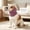 Pink, variant on Dog Ear Protection Wrap – Calming & Noise-Reducing Ear Cover for Dogs, Soft Stretch Fabric Headwrap for Grooming, Anxiety Relief, Bathing & Recovery