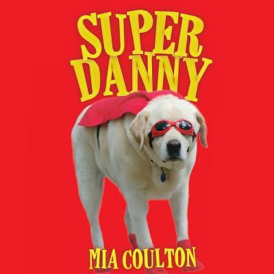 Pre-Owned Super Danny (Board Book)