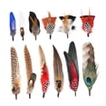 thumbnail image 3 of jifeng Hat Feathers Assorted Feathers for Fedora Hats DIY Centerpieces Crafts Decor B, 3 of 9