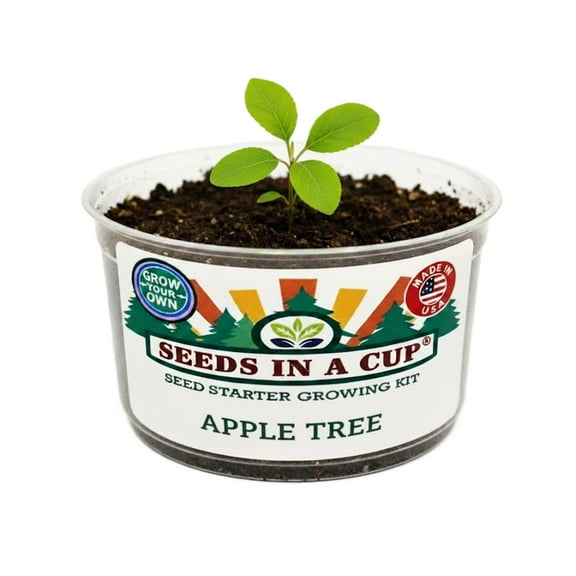 Seeds In A Cup Bell Pepper Vegetable Plant Growing Kits with Seed Starter Grow Kit