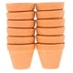 thumbnail image 1 of 12 macetas pequeñas de terracota para plantas de 5,5 x 5 cm, mini macetas con orificio de drenaje, ideales para suculentas, cactus y jardinería interior, 1 of 6