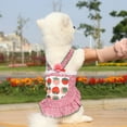 thumbnail image 5 of Lace Plaid Pattern Dog Dress Breathable Ruffles Summer Princess Dress, Ideal for Dogs, 5 of 8