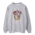 thumbnail image 1 of Harry Potter Womens Gryffindor Heather Sweatshirt, 1 of 3