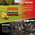 thumbnail image 4 of 3-Hole Orange Chicken Nesting Box – Heavy-Duty Weatherproof Galvanized Steel, Removable Tray, Perch Handle, Automatic Rollout Egg Collection, Poultry Coop, Backyard, Farm – Three Grids, 4 of 8