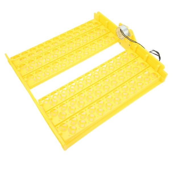 Bandeja de incubadora de huevos de estilo hueco, incubación de huevos completamente automática Bandeja de incubadora completamente automática para bandeja de incubación de huevos de gallina Salida de alta intensidad