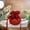 Multicolor a11201, variant on Cagogo under $5 4Pcs Velvet Christmas Gift Bag, Christmas Gift Bag,Velvet Christmas Apple Bag,Christmas Eve Candy Box,Fruit Velvet Flap Pocket,Drawstring Holiday Packaging,Festive Red Green Design