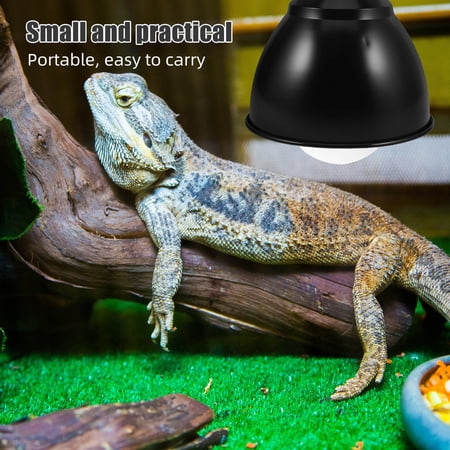 GAXIRE Reptile and Poultry Heat Lamp Shade Black Metal Dome with Enhanced Warmth and Easy Maintenance