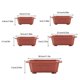 thumbnail image 2 of Matsuzay Maceta para bonsái transpirable ABS diseñada para entusiastas de la jardinería en interiores Macetas y jardineras permeables Maceta Jardín y Patio 285*200*75.295/285*200*75, 2 of 6