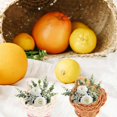 thumbnail image 2 of 12Pcs Small Woven Baskets Candy Containers Small Gift Baskets Party Favor Holders, 2 of 4