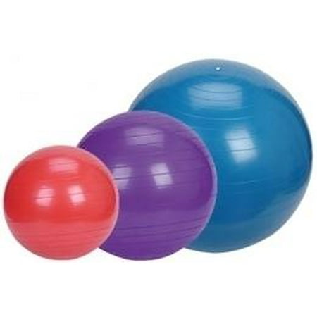 Exercise Ball-Size:65 cm - Walmart.com