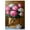 Gallery Wrapped, variant on Petals of the Cosmos Canvas Pink Pop Wall Art by Art Remedy, Gallery Wrapped, 16" x 24"