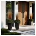 saney 20inch Tall Black Planters Set of 2,Large Tree Planters for