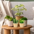 thumbnail image 5 of BESTONZON 6Pcs Handwoven Wood Woven Storage Basket Light Brown Desktop Organizer for Home Storage, 5 of 5