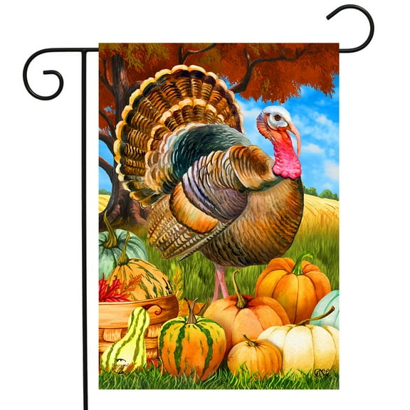 Briarwood Lane Turkey And Pumpkins Fall Garden Flag