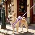 thumbnail image 2 of Miaoju Cat Vest Harness and Leash Set, Escape Proof Kitten Harness Adjustable Easy Wear Kitty Harness, Sturdy Clip Buckle, 2 of 5