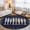 Blue, variant on 2x3 Ft Entryway Area Rug, Colorful Fish Coastal Kitchen Rug Runner Washable Floor Mat, Nautical Summer Ocean Sea Rustic Non Slip Indoor Door Mat Throw Carpet for Bathroom Living Room Bedroom