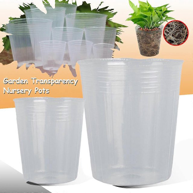 20 macetas transparentes para vivero, recipiente para nutrición de plantas, recipiente para propagación de orquídeas, bolsa para plántulas, recipiente para nutrición, maceta para flores, 5 x 5 x 3,5