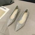 thumbnail image 2 of 2 Pcs Chaussures en Cuir pour Femmes Résistantes à l'Usure Femmes Mariage Largeur Plate Robe Chaussures en Fibre à Paillettes Femmes Confortables Entretien Cour Femmes Argent 39, 2 of 9