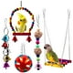thumbnail image 1 of 5 piezas de juguetes para loros y pájaros, campana colgante, jaula para pájaros, hamaca, juguete colgante para periquitos pequeños, cacatúas, cotorras, guacamayos, loros, pájaros del amor, pinzones Ormromra DLM521, 1 of 9