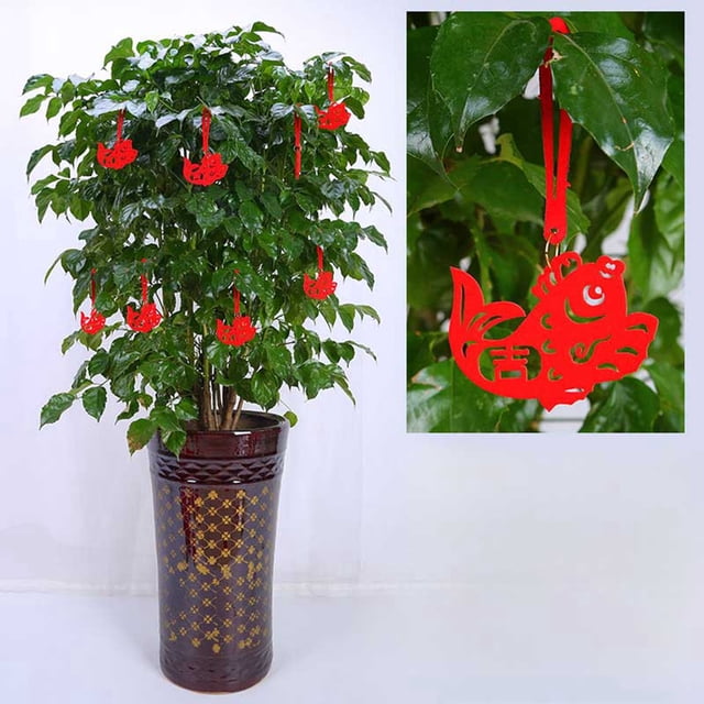 Conjunto De Decoración Para Año Nuevo Decoración Con Nudos Chinos Para El Festival De Primavera Fortuna Año Nuevo Restaurante Familiar Coche Familiar Árbol Decoración Para El Festival De Primavera