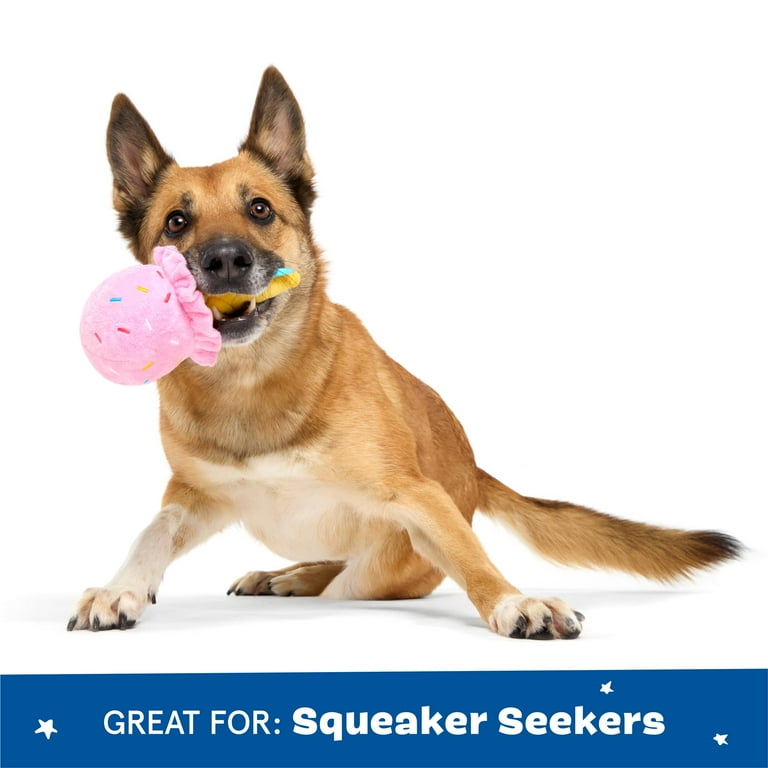best dog puzzle toys 2022 Outward Hound Dog Puzzle MultiPuzzle