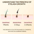 thumbnail image 3 of Sérum para el crecimiento de pestañas LANBENA Advanced Treatment 4 semanas, 3 of 7