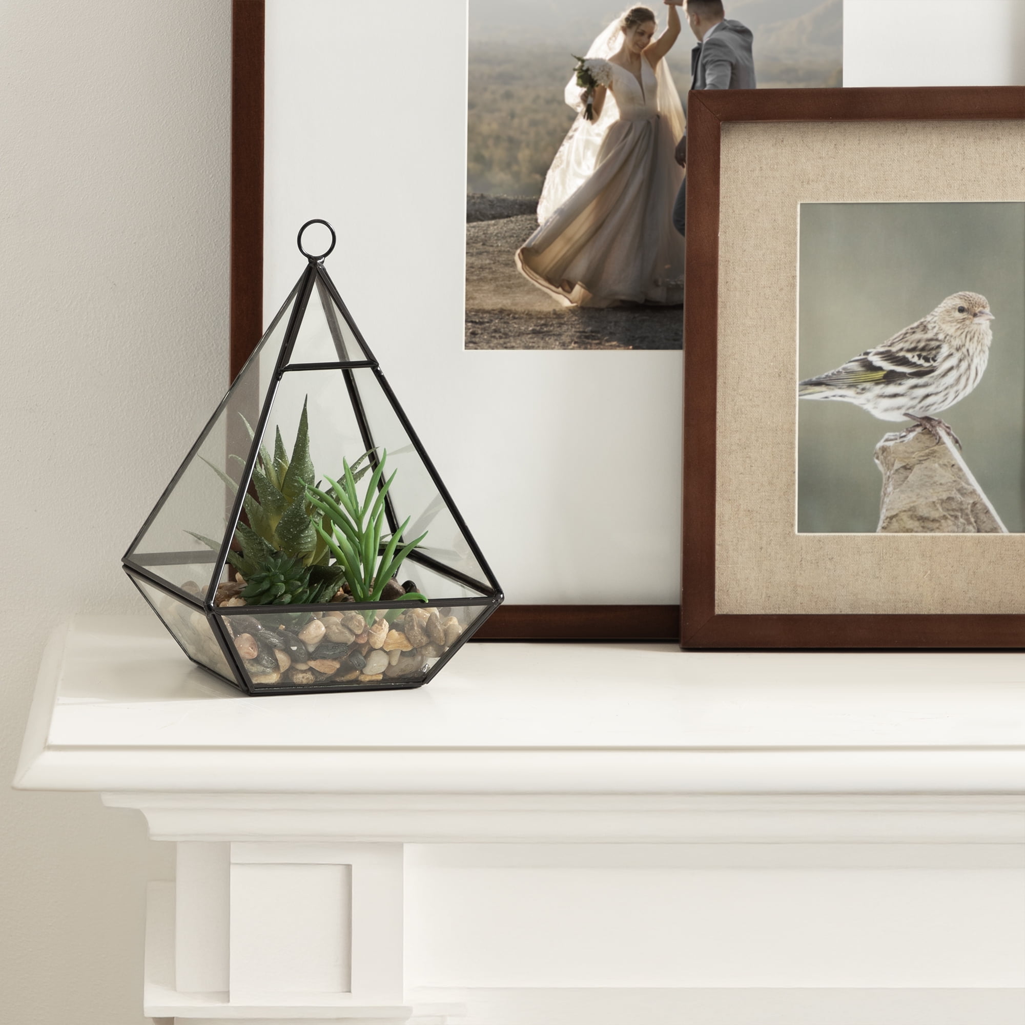 DesignOvation Terrarium de table en verre de 22,8 cm de haut avec trio de succulentes artificielles