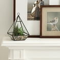 thumbnail image 4 of DesignOvation Terrarium de table en verre de 22,8&nbsp;cm de haut avec trio de succulentes artificielles, 4 of 8